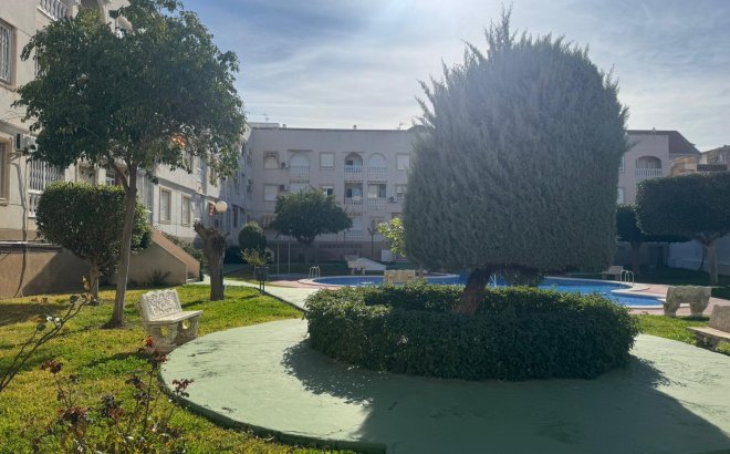 Herverkoop - Appartement -
Torrevieja - Costa Blanca