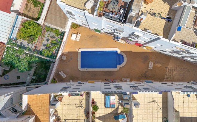 Revente - Appartement -
Torrevieja - Costa Blanca