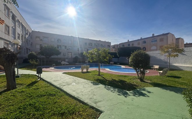 Revente - Appartement -
Torrevieja - Costa Blanca
