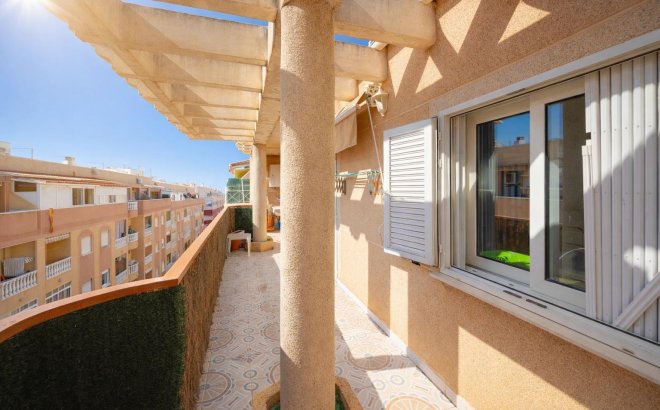 Resale - Apartment -
Torrevieja - Costa Blanca