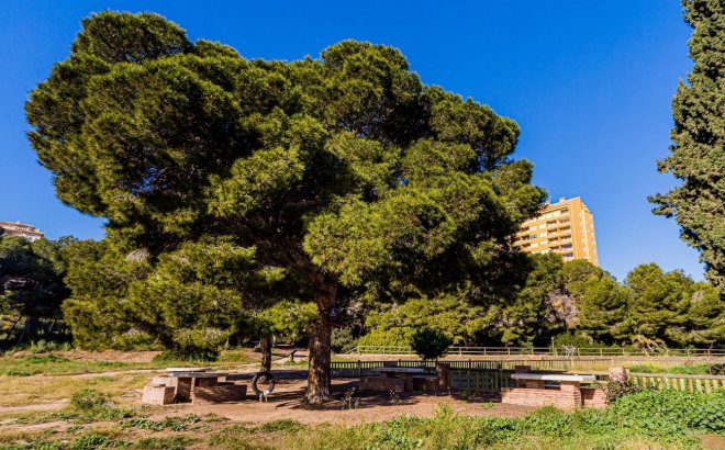 Resale - Dúplex -
Dehesa de Campoamor - Costa Blanca