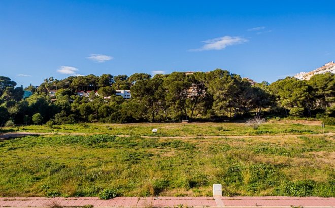 Resale - Dúplex -
Dehesa de Campoamor - Costa Blanca