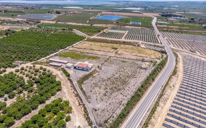 Resale - Finca -
Los Montesinos