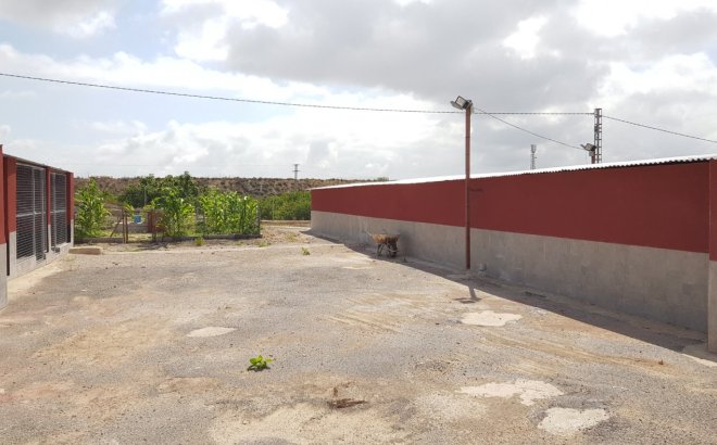 Resale - Finca -
Los Montesinos