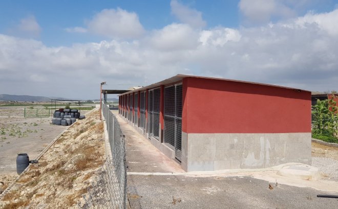 Resale - Finca -
Los Montesinos