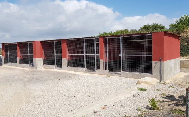 Resale - Finca -
Los Montesinos