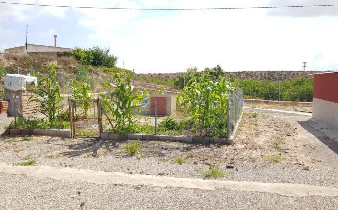 Resale - Finca -
Los Montesinos