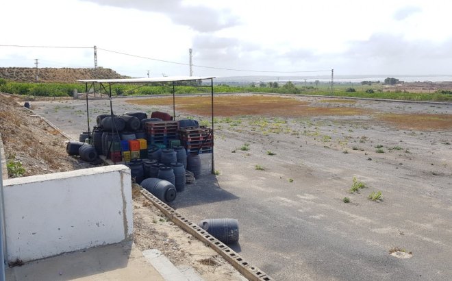 Resale - Finca -
Los Montesinos