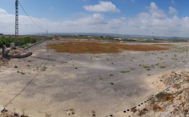 Resale - Finca -
Los Montesinos