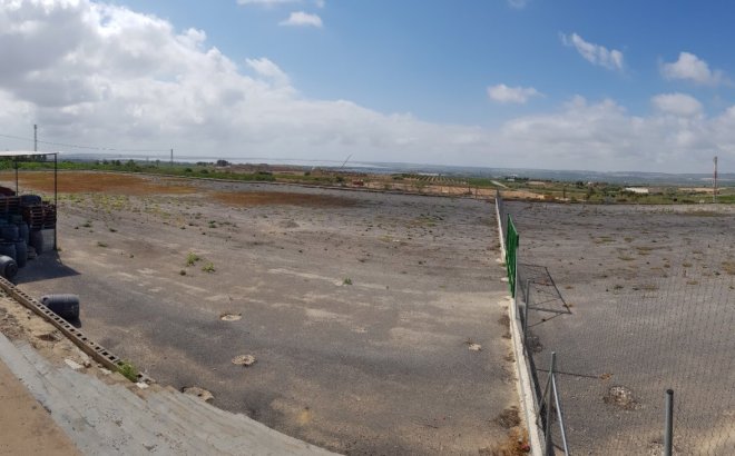 Resale - Finca -
Los Montesinos