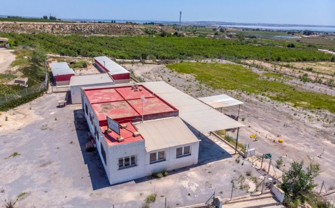 Resale - Finca -
Los Montesinos