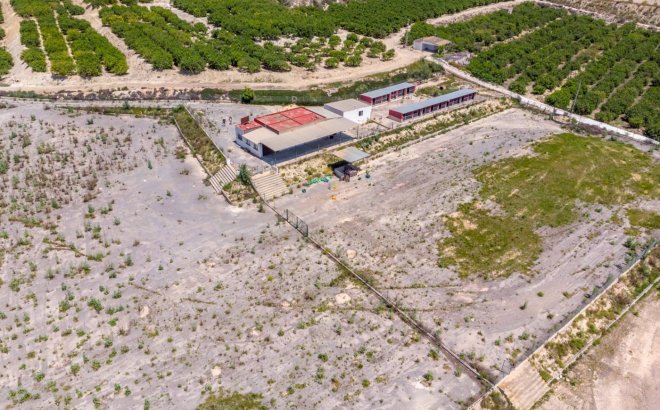 Resale - Finca -
Los Montesinos