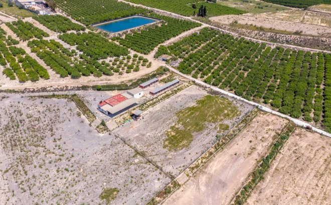 Resale - Finca -
Los Montesinos