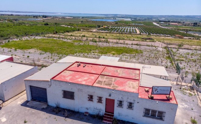 Resale - Finca -
Los Montesinos