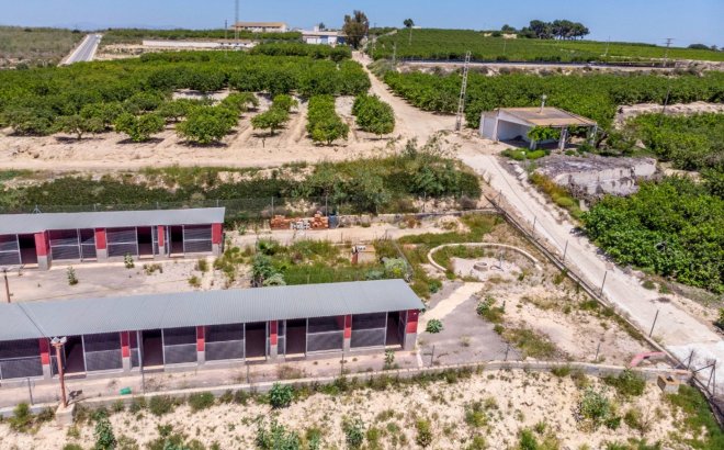 Resale - Finca -
Los Montesinos