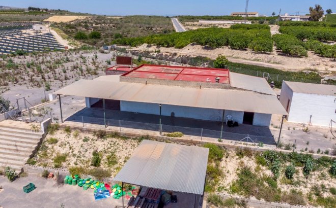 Resale - Finca -
Los Montesinos