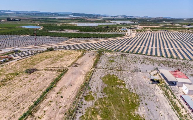 Resale - Finca -
Los Montesinos