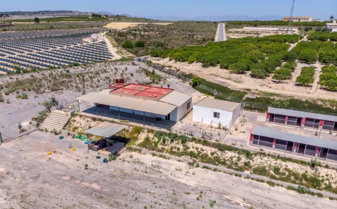 Resale - Finca -
Los Montesinos