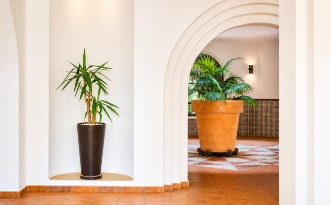 Resale - Apartment -
Torrevieja - Los Frutales