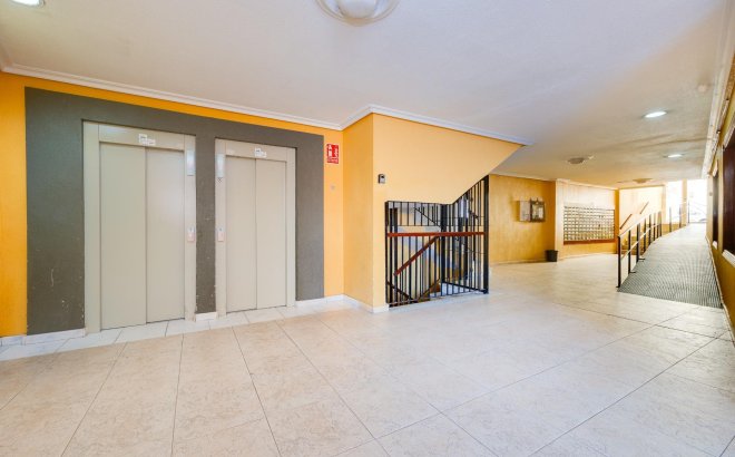 Resale - Apartment -
Torrevieja - Centro