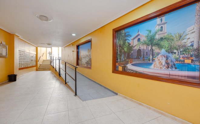 Resale - Apartment -
Torrevieja - Centro