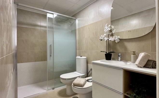 Resale - Apartment -
Torrevieja - Costa Blanca