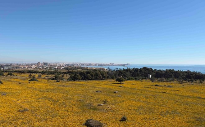 Resale - Apartment -
Orihuela Costa - Costa Blanca