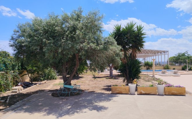 Resale - Villa -
Los Montesinos - Costa Blanca