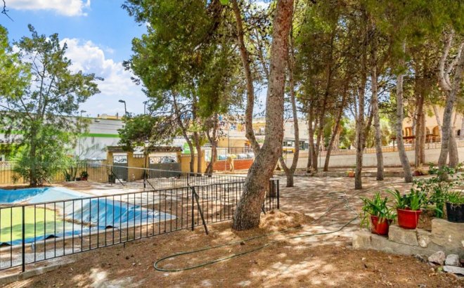 Resale - Villa -
Torrevieja - Costa Blanca
