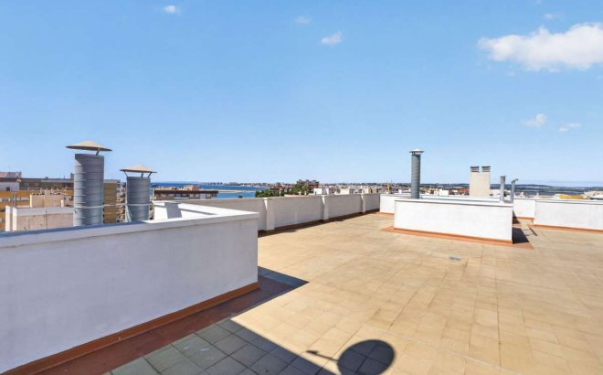 Resale - Apartment -
Torrevieja - Costa Blanca