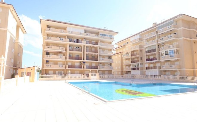 Resale - Apartment -
Torrevieja - Costa Blanca