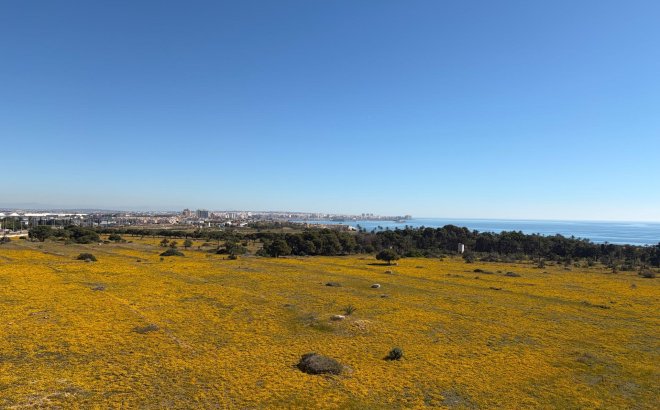 Resale - Penthouse -
Torrevieja - Punta Prima