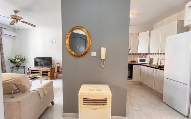 Resale - Apartment -
San Miguel de Salinas - Inland