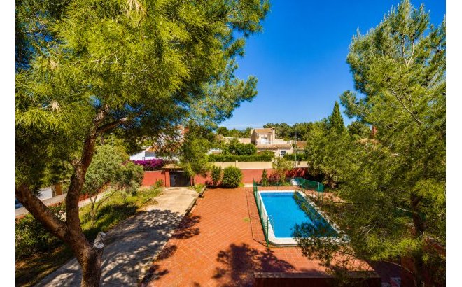 Resale - Villa -
San Miguel de Salinas - Inland