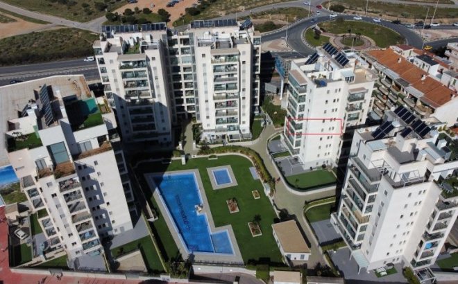 Resale - Apartment -
Torrevieja - Costa Blanca