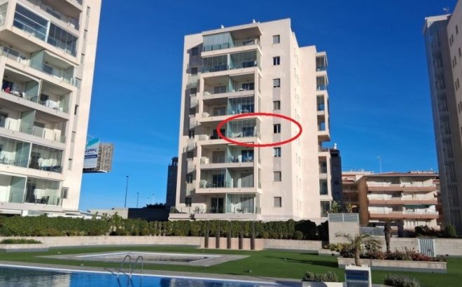 Resale - Apartment -
Torrevieja - Costa Blanca