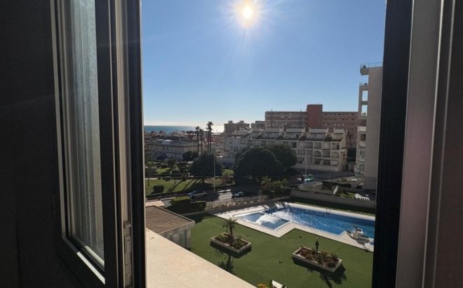 Resale - Apartment -
Torrevieja - Costa Blanca