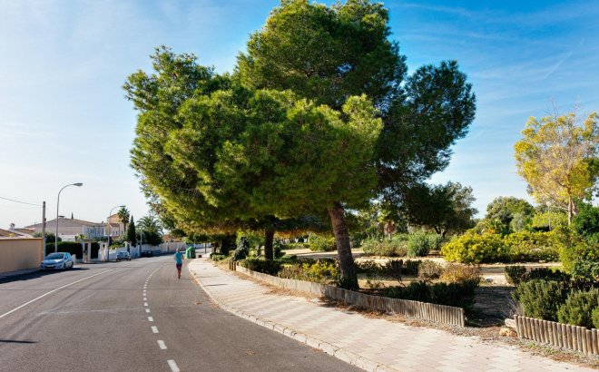 Resale - Bungalow -
Torrevieja - La Siesta - El Salado - Torreta