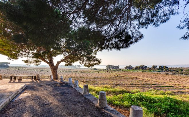 Resale - Bungalow -
Torrevieja - La Siesta - El Salado - Torreta