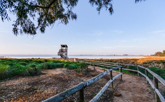 Resale - Bungalow -
Torrevieja - La Siesta - El Salado - Torreta