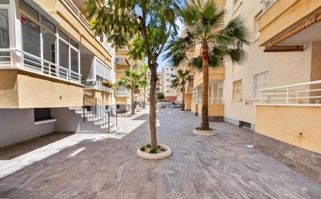 Resale - Apartment -
Torrevieja - Costa Blanca