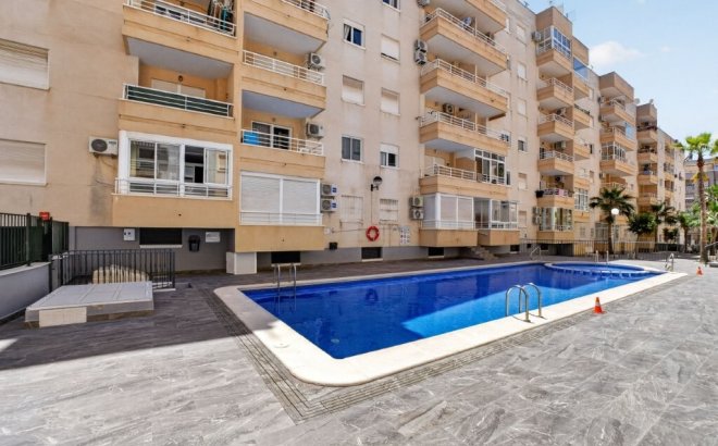 Resale - Apartment -
Torrevieja - Costa Blanca