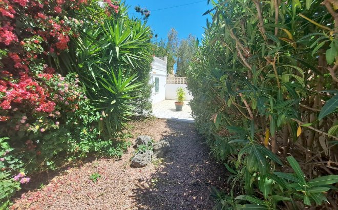 Resale - Villa -
San Miguel de Salinas - Inland