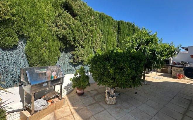 Resale - Town House -
Torrevieja - Costa Blanca