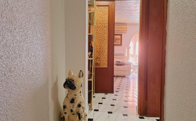Resale - Apartment -
Torrevieja - Acequion
