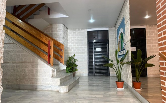 Resale - Apartment -
Torrevieja - Centro