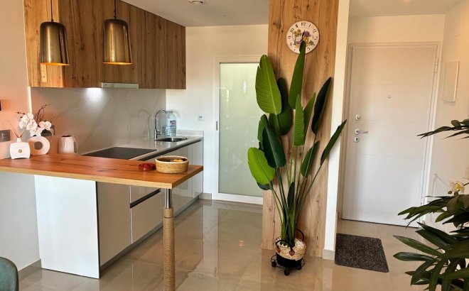 Resale - Apartment -
Pilar de la Horadada - Costa Blanca