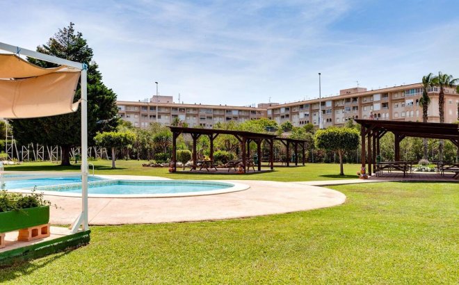 Resale - Bungalow -
Torrevieja - PARQUE DE LAS NACIONES