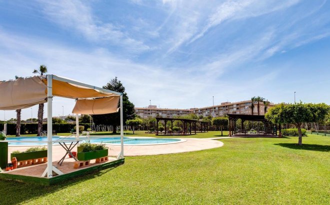 Resale - Bungalow -
Torrevieja - PARQUE DE LAS NACIONES
