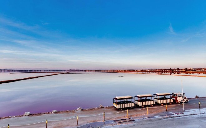Resale - Bungalow -
Torrevieja - PARQUE DE LAS NACIONES